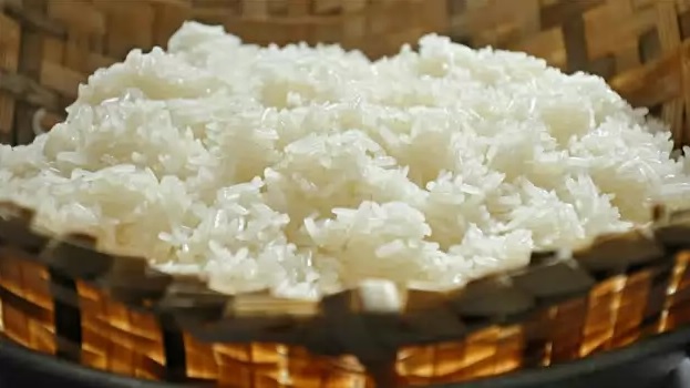 новый сорт риса